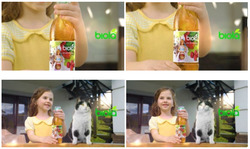 Заявка на торговельну марку № m202515255: biola