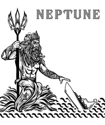 Заявка на торговельну марку № m202308633: neptune