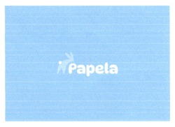 Заявка на торговельну марку № m202300619: papela