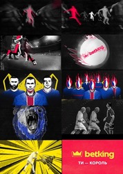 Заявка на торговельну марку № m202515096: betking; ти король; ти-король