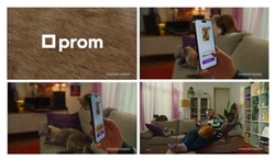 Заявка на торговельну марку № m202514553: prom