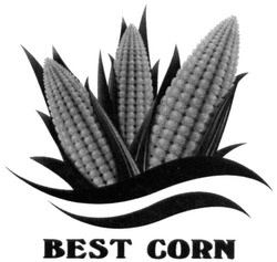 Свідоцтво торговельну марку № 207932 (заявка m201511291): best corn