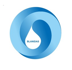 Заявка на торговельну марку № m202524507: blanidas
