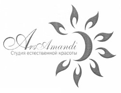 Заявка на торговельну марку № m201220194: студия естественной красоты; ars amandi