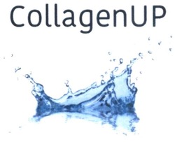Заявка на торговельну марку № m201823624: collagenup; collagen up