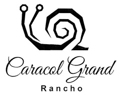 Свідоцтво торговельну марку № 297846 (заявка m201916171): caracol grand rancho