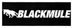 Свідоцтво торговельну марку № 306953 (заявка m201925516): blackmule