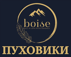 Заявка на торговельну марку № m202517109: пуховики; boise fall in love with yourself