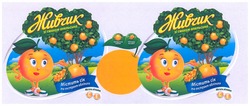 Свідоцтво торговельну марку № 232105 (заявка m201604863): живчик зі смаком апельсина; містить сік та екстракт обліпихи