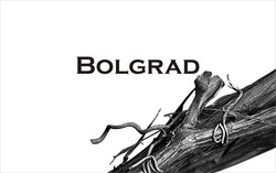Свідоцтво торговельну марку № 158998 (заявка m201112036): bolgrad