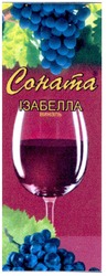 Свідоцтво торговельну марку № 134273 (заявка m200915639): соната ізабелла виналь
