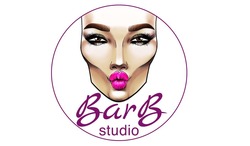 Свідоцтво торговельну марку № 291851 (заявка m201908902): barb studio