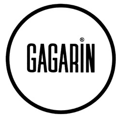Заявка на торговельну марку № m201314416: gagarin