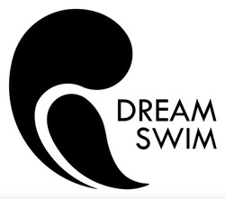 Заявка на торговельну марку № m202417042: dream swim