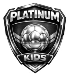 Заявка на торговельну марку № m202607016: platinum kids
