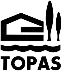 Свідоцтво торговельну марку № 92452 (заявка m200505150): topas