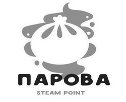 Заявка на торговельну марку № m202117017: steam point; парова