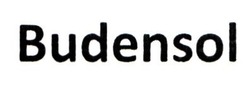 Заявка на торговельну марку № m202027686: budensol