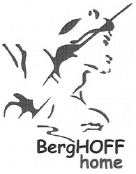 Заявка на торговельну марку № m200715775: berghoff home