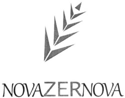 Свідоцтво торговельну марку № 305923 (заявка m201927246): novazernova