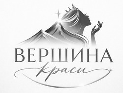 Заявка на торговельну марку № m202604748