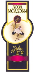 Свідоцтво торговельну марку № 61590 (заявка 20031010559): лоза молдовы; лм; fabricat in moldova