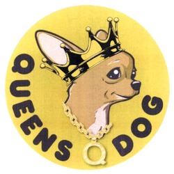 Заявка на торговельну марку № m202210711: queens dog