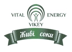 Заявка на торговельну марку № m201716406: vital energy vikey; живі соки