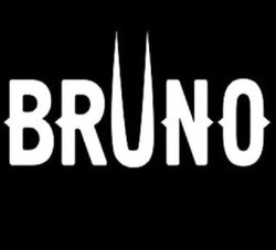 Заявка на торговельну марку № m202019959: bruno