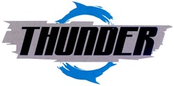 Заявка на торговельну марку № m200910634: thunder