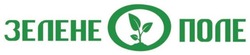 Заявка на торговельну марку № m202512484: зелене поле