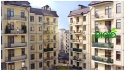 Заявка на торговельну марку № m202515262: biola