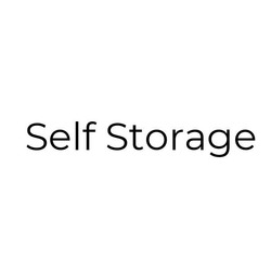 Заявка на торговельну марку № m201823817: self storage