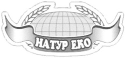 Свідоцтво торговельну марку № 139195 (заявка m201002271): натур еко; hatyp eko