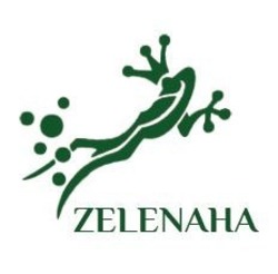 Заявка на торговельну марку № m202404699: zelenaha