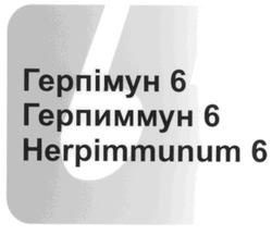 Свідоцтво торговельну марку № 99543 (заявка m200816529): герпімун 6; герпиммун 6; б; herpimmunum 6