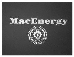 Заявка на торговельну марку № m202323780: macenergy