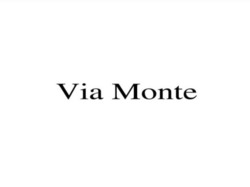 Заявка на торговельну марку № m202412716: via monte
