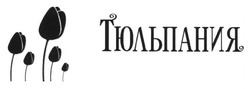 Свідоцтво торговельну марку № 190397 (заявка m201316413): тюльпания