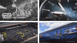 Заявка на торговельну марку № m202516715: з любовю; з любов'ю до кожної ягоди; insortex; ручна праця забирає час і гроші?