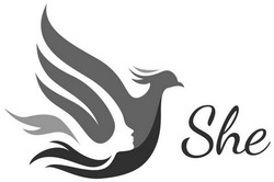 Свідоцтво торговельну марку № 330857 (заявка m202112316): she