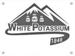 Заявка на торговельну марку № m202130305: 1848; white potassium; salt