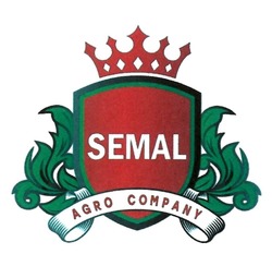 Заявка на торговельну марку № m202009767: agro company; semal