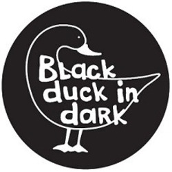 Свідоцтво торговельну марку № 330665 (заявка m202107288): black duck in dark