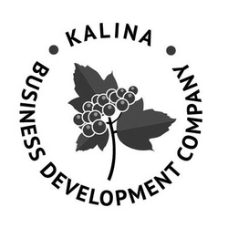 Свідоцтво торговельну марку № 268490 (заявка m201729151): kalina; business development company