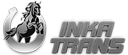 Свідоцтво торговельну марку № 341088 (заявка m202201043): inka trans