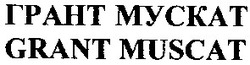 Свідоцтво торговельну марку № 57967 (заявка 20031213512): грант мускат; грант myckat; grant muscat