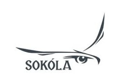 Заявка на торговельну марку № m202509418: sokola