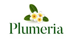 Свідоцтво торговельну марку № 310433 (заявка m202000869): plumeria