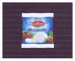 Заявка на торговельну марку № m201208688: №1 in italia; galbani; mozzarella